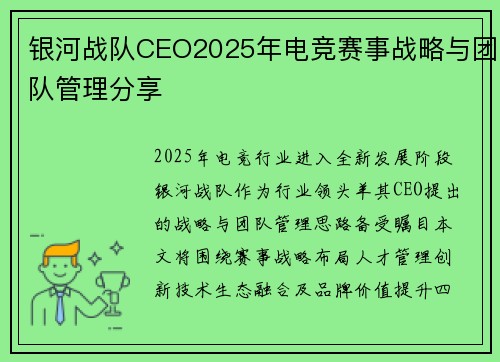 银河战队CEO2025年电竞赛事战略与团队管理分享