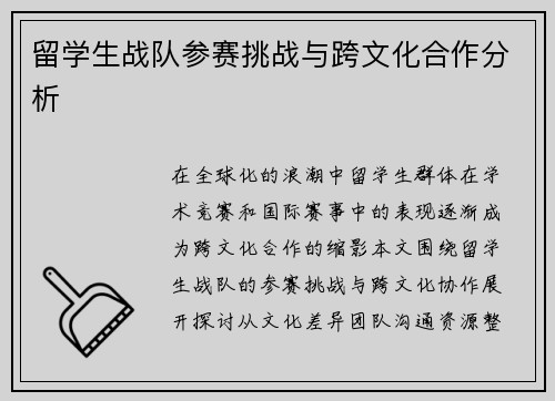 留学生战队参赛挑战与跨文化合作分析